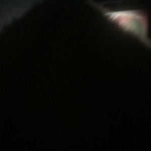 Meet your Posher, Katelyn